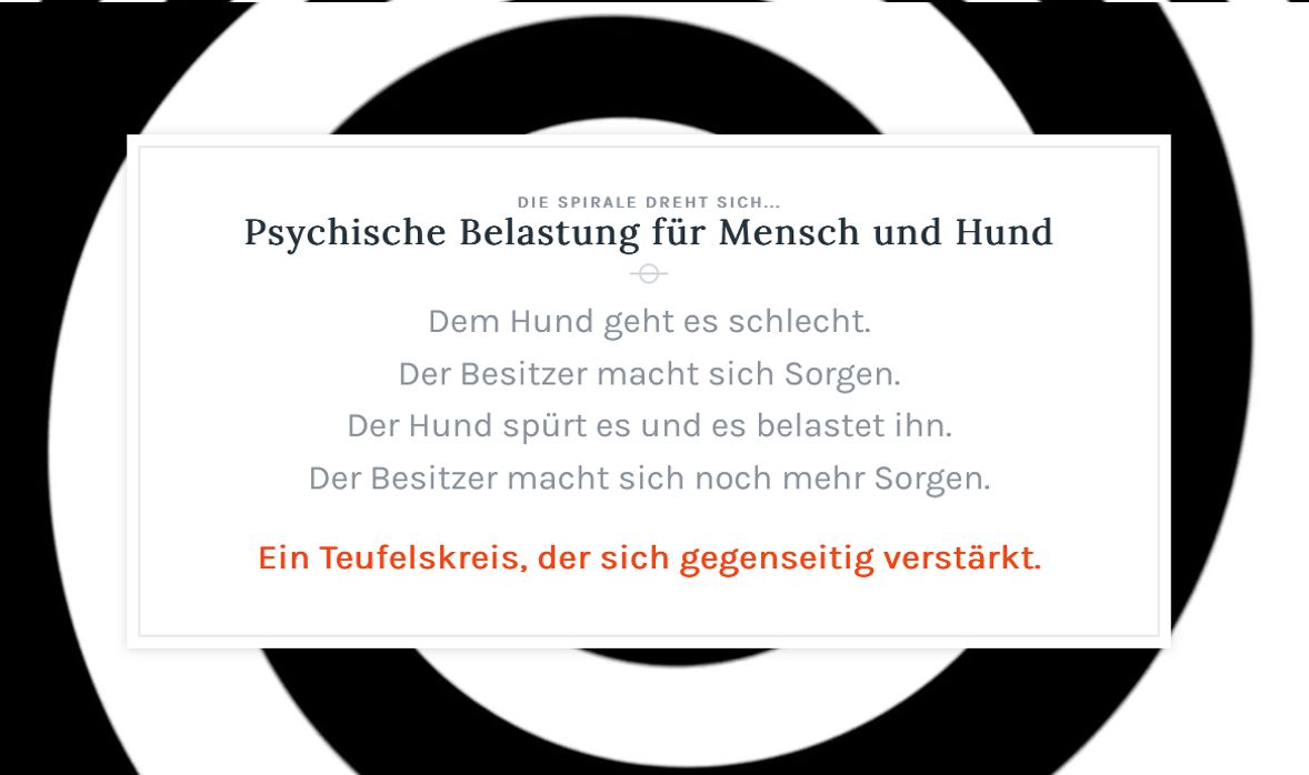 Teufelskreis 1
