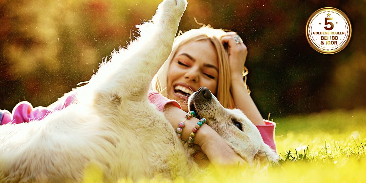 glückliches zusammenleben hund und mensch