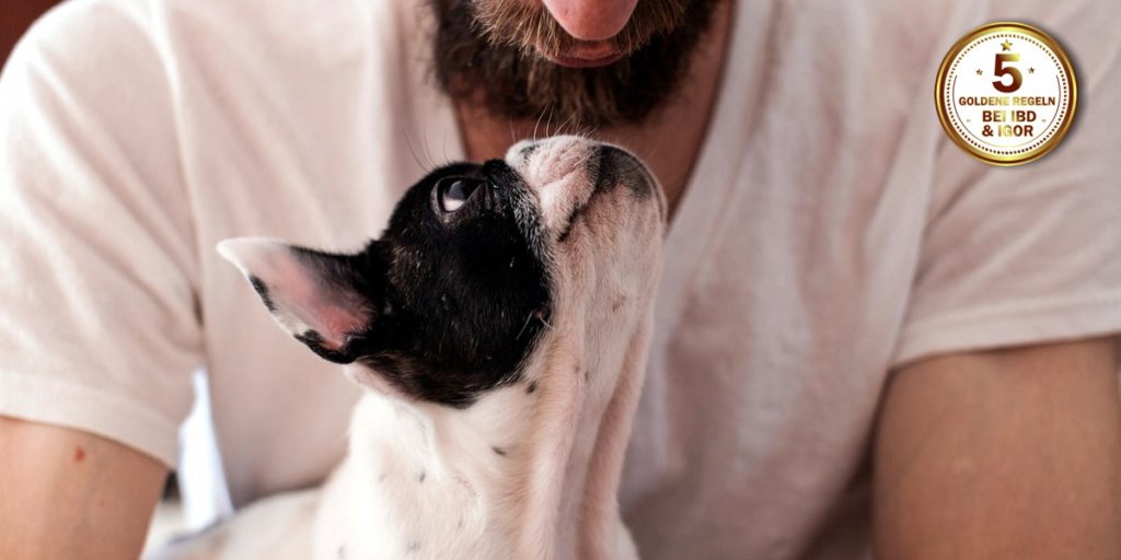 5 goldene Regeln zum Umgang mit IBD/IGOR IBD Hund
