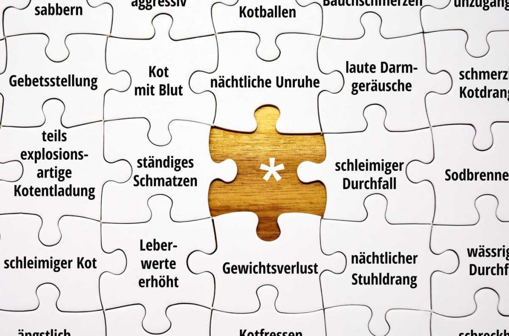 IBD/IGORInformation IBD Hund