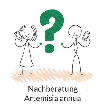 - nachberatung artemisia annua